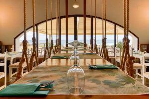 En el Restaurante la Torre, en primera línea de playa, podrás vivir los diferentes ambientes que te brinda El Palmar durante el día y una carta excepcional.