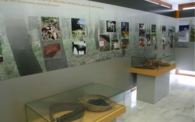Centro de Visitantes El Bosque