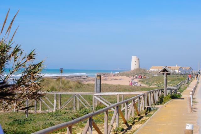 Discover El Palmar, one of the most special spots in the province of Cadiz.